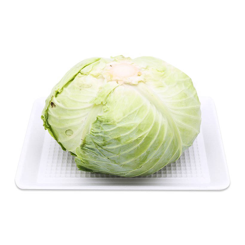 Bắp cải Eco L1