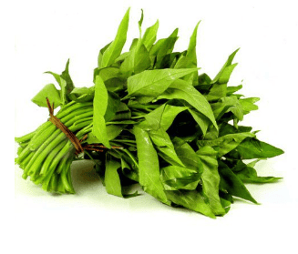 Rau muống